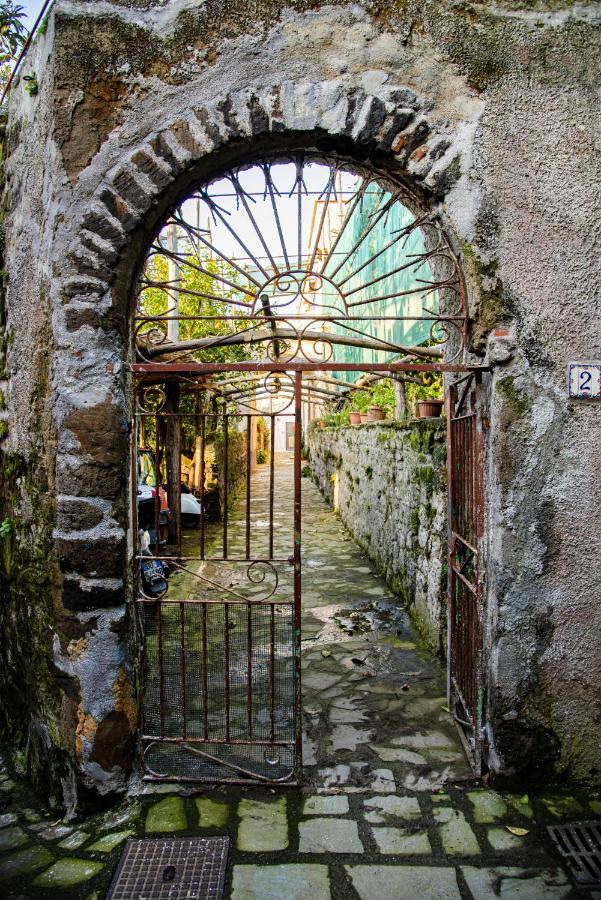 Villa Mirasole House à Massa Lubrense Extérieur photo